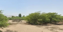 Terreno en venta Yajasi, Pueblo Nuevo, Ica, Perú
