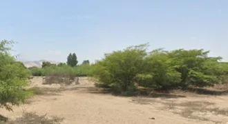 Terreno en venta Yajasi, Pueblo Nuevo, Ica, Perú