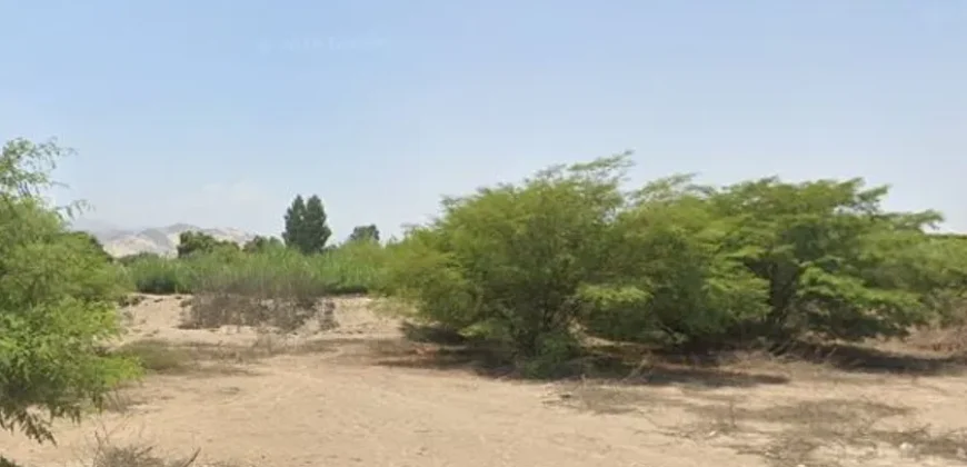Terreno en venta Yajasi, Pueblo Nuevo, Ica, Perú