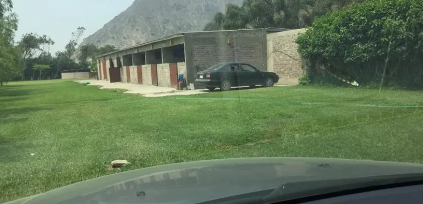 Terreno en venta Manchay Bajo, Pachacamac, Perú