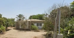 Terreno en venta Yajasi, Pueblo Nuevo, Ica, Perú