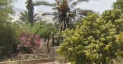 Terreno en venta Yajasi, Pueblo Nuevo, Ica, Perú