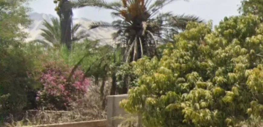 Terreno en venta Yajasi, Pueblo Nuevo, Ica, Perú