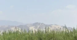 Terreno en venta Yajasi, Pueblo Nuevo, Ica, Perú