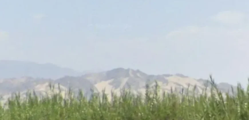 Terreno en venta Yajasi, Pueblo Nuevo, Ica, Perú