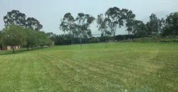 Terreno en venta Manchay Bajo, Pachacamac, Perú