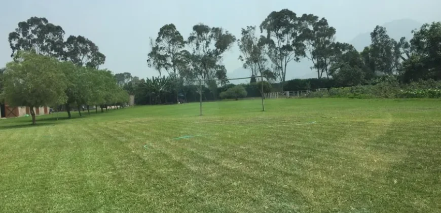 Terreno en venta Manchay Bajo, Pachacamac, Perú