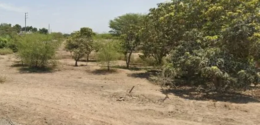 Terreno en venta Yajasi, Pueblo Nuevo, Ica, Perú