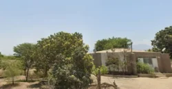 Terreno en venta Yajasi, Pueblo Nuevo, Ica, Perú