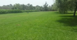 Terreno en venta Manchay Bajo, Pachacamac, Perú
