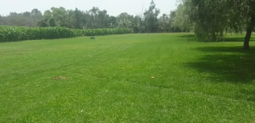 Terreno en venta Manchay Bajo, Pachacamac, Perú