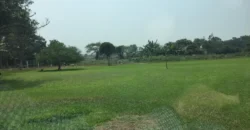 Terreno en venta Manchay Bajo, Pachacamac, Perú