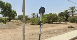 Terreno en venta Yajasi, Pueblo Nuevo, Ica, Perú
