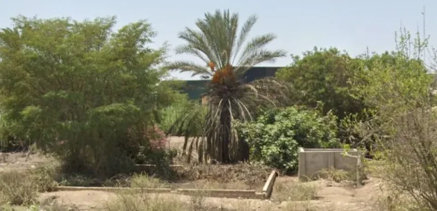 Terreno en venta Yajasi, Pueblo Nuevo, Ica, Perú